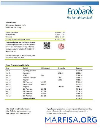 Blank Congo Ecobank bank statement word download for verification